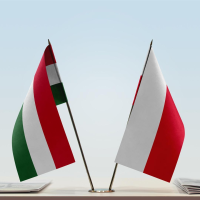 Nature of autocratization processes: case study on Poland and Hungary