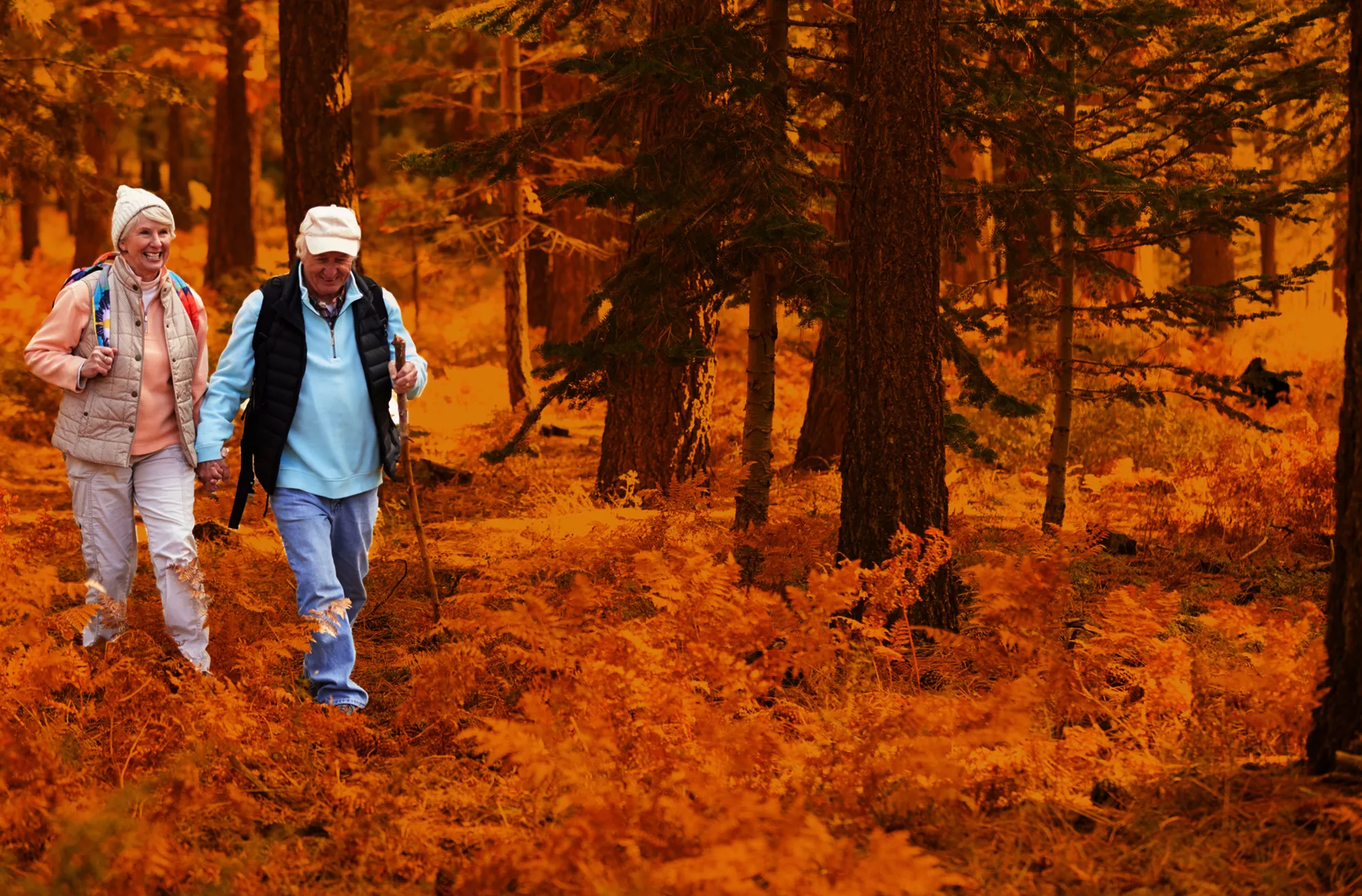 Ageing, Generational Change and Social Solidarity