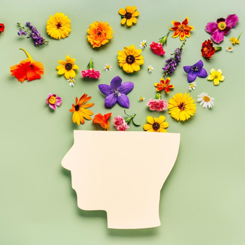 Department of Clinical and Health Psychology, Graduate Studies