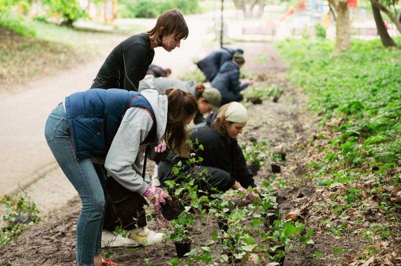 Students and employees from USWPS plant ivy in the park