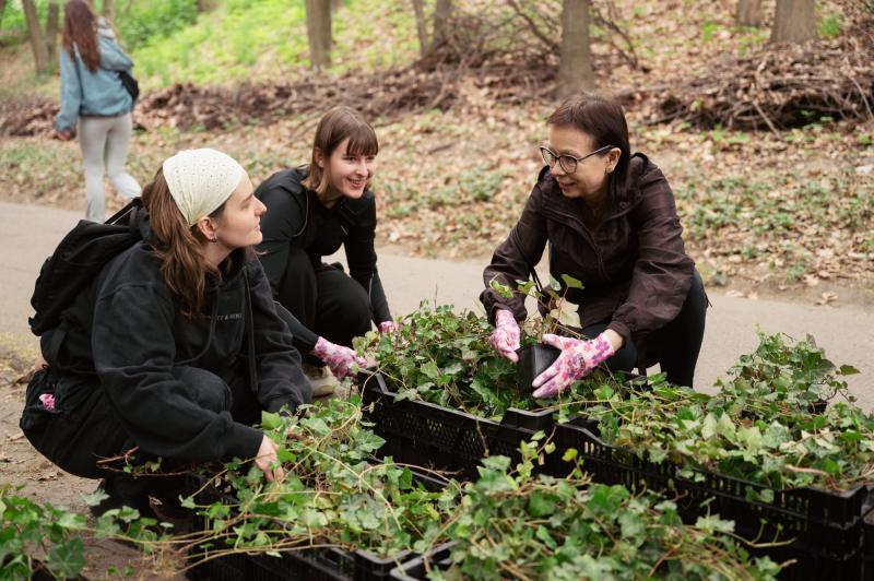 Students and employees from USWPS prepare ivy stock for planting