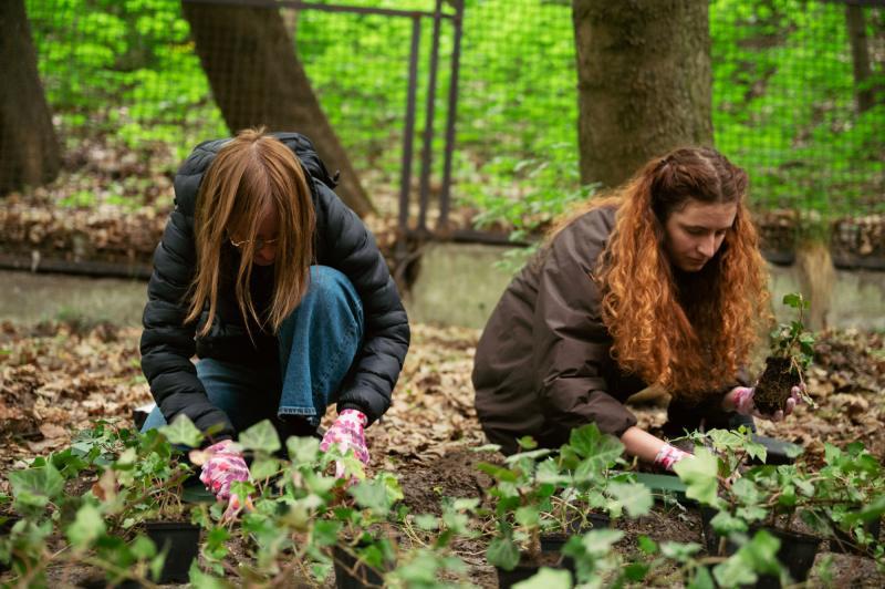 Two female students from USWPS plant ivy in the park