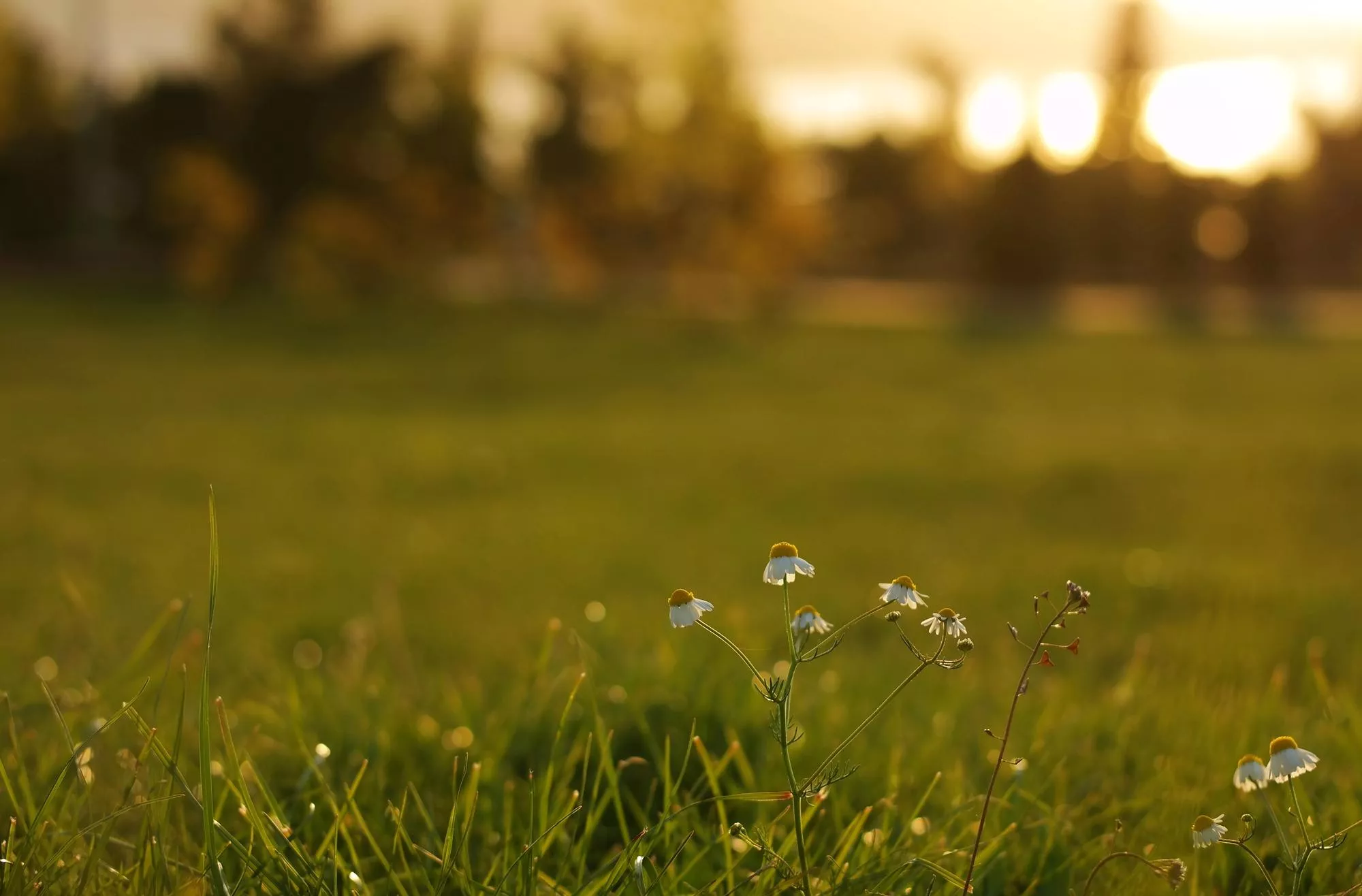 Intercultural photography workshop: meeting with mindfulness
