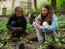 Rooted in Community: USWPS Partners with City of Warsaw for Urban Greening Project
