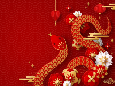 Year of the Snake: Celebrate Chinese New Year at SWPS University