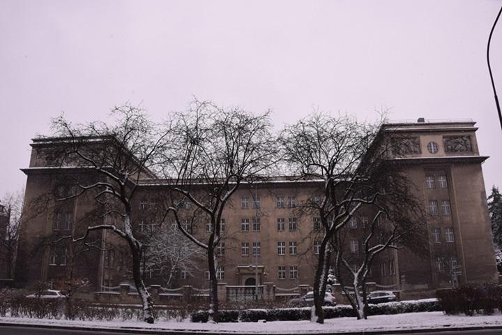 The building facade among snow-covered trees from the front.