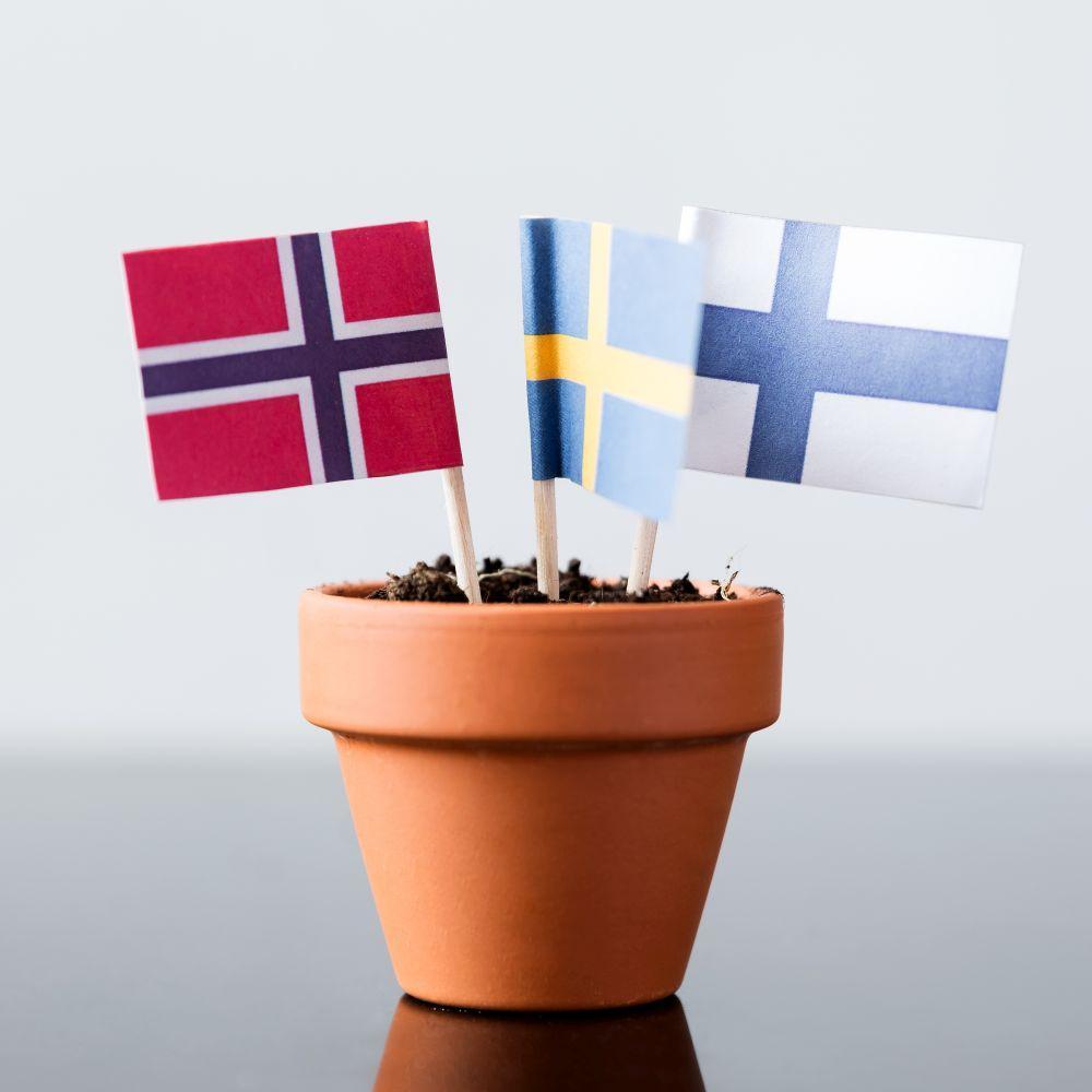 Logo of “NORDEN” – Scandinavian Student Research Club