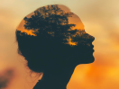 Call for papers: World-Attuned Therapy. Briskness, Connection, Presence