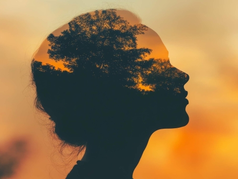 Call for papers: World-Attuned Therapy. Briskness, Connection, Presence