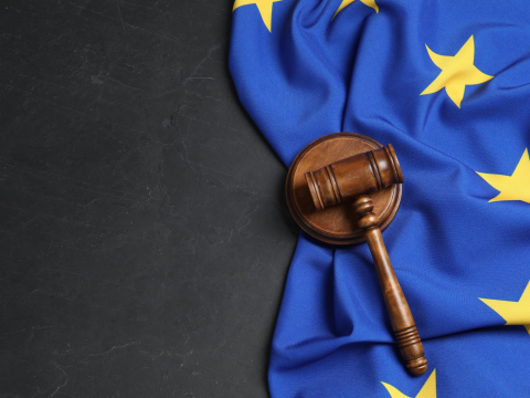 European Migration Law in a Global Perspective